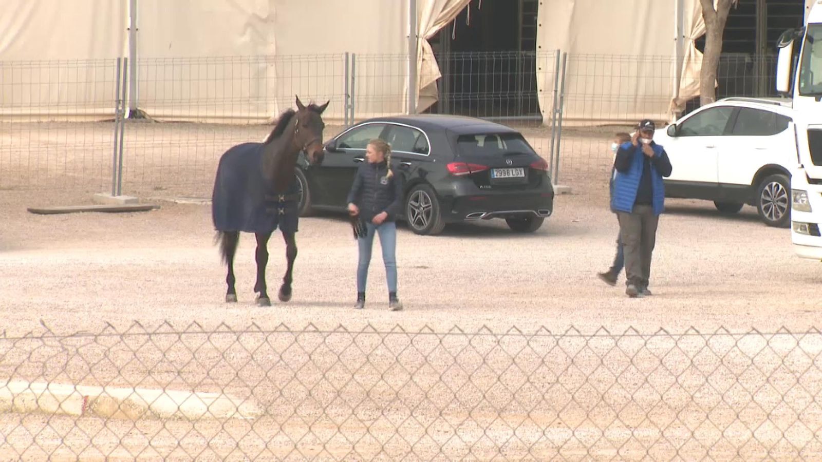 Un cavall dins del recinte eqüestre de Godella, en una imatge d'arxiu