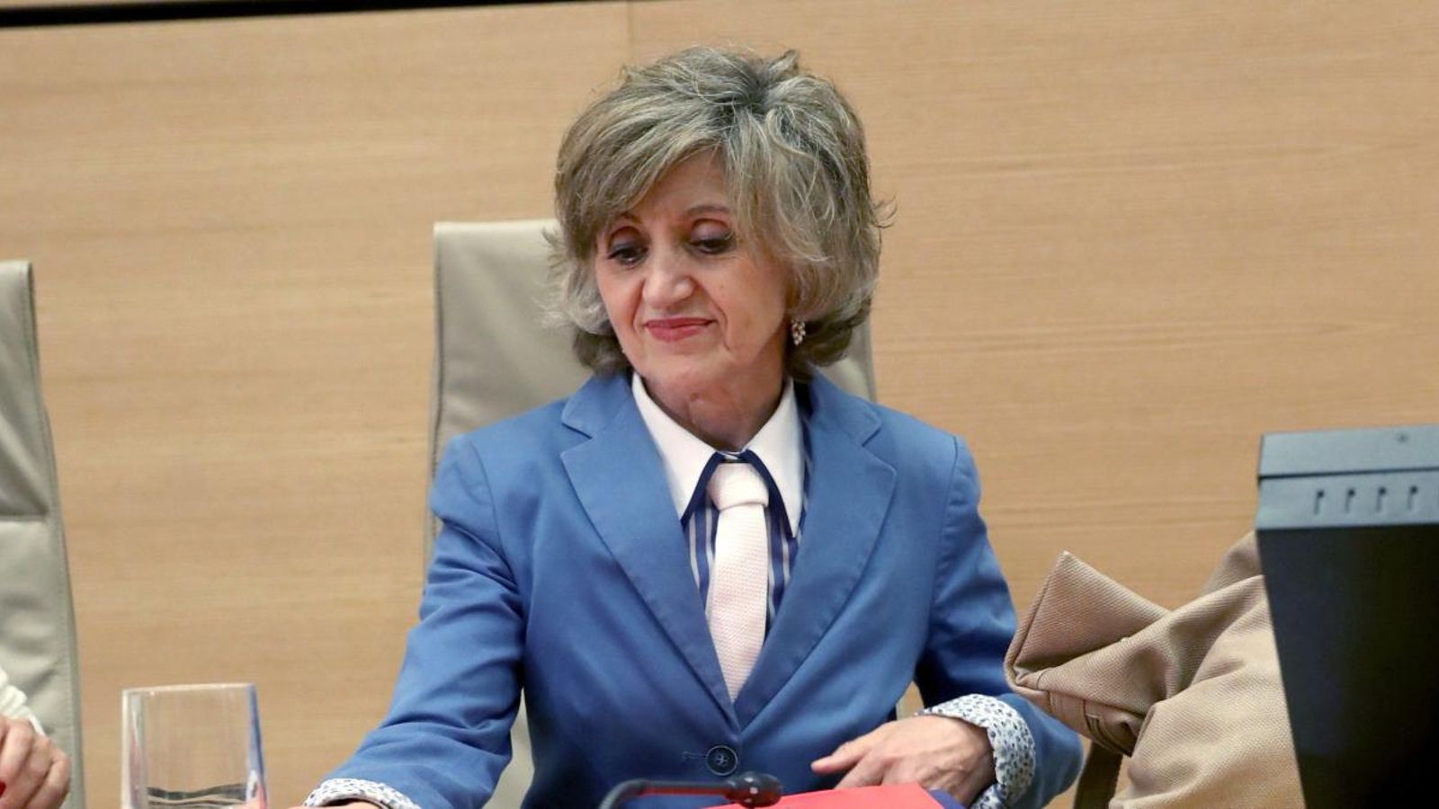 María Luisa Carcedo, al Congrés dels Diputats