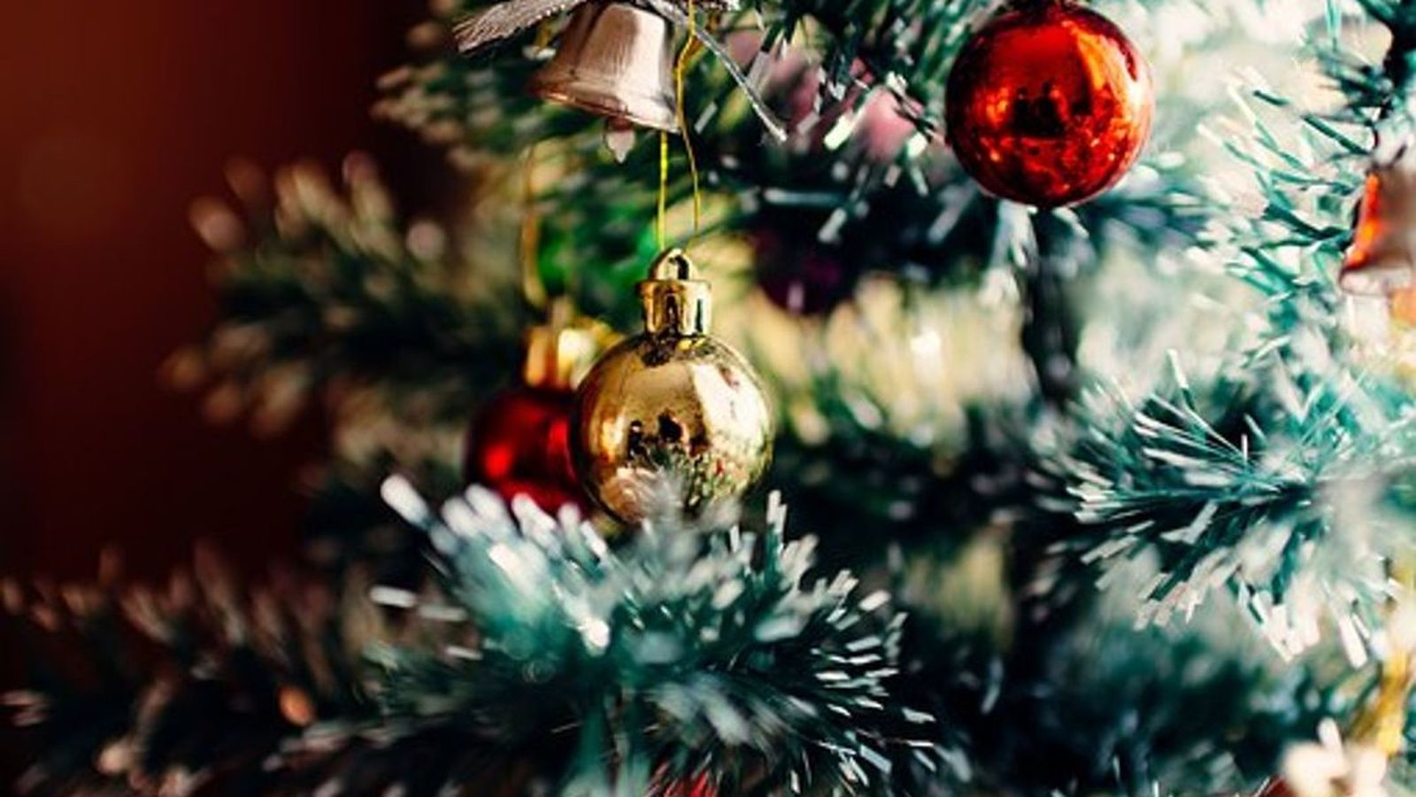 15.12.2018 | Propostes per a Nadal