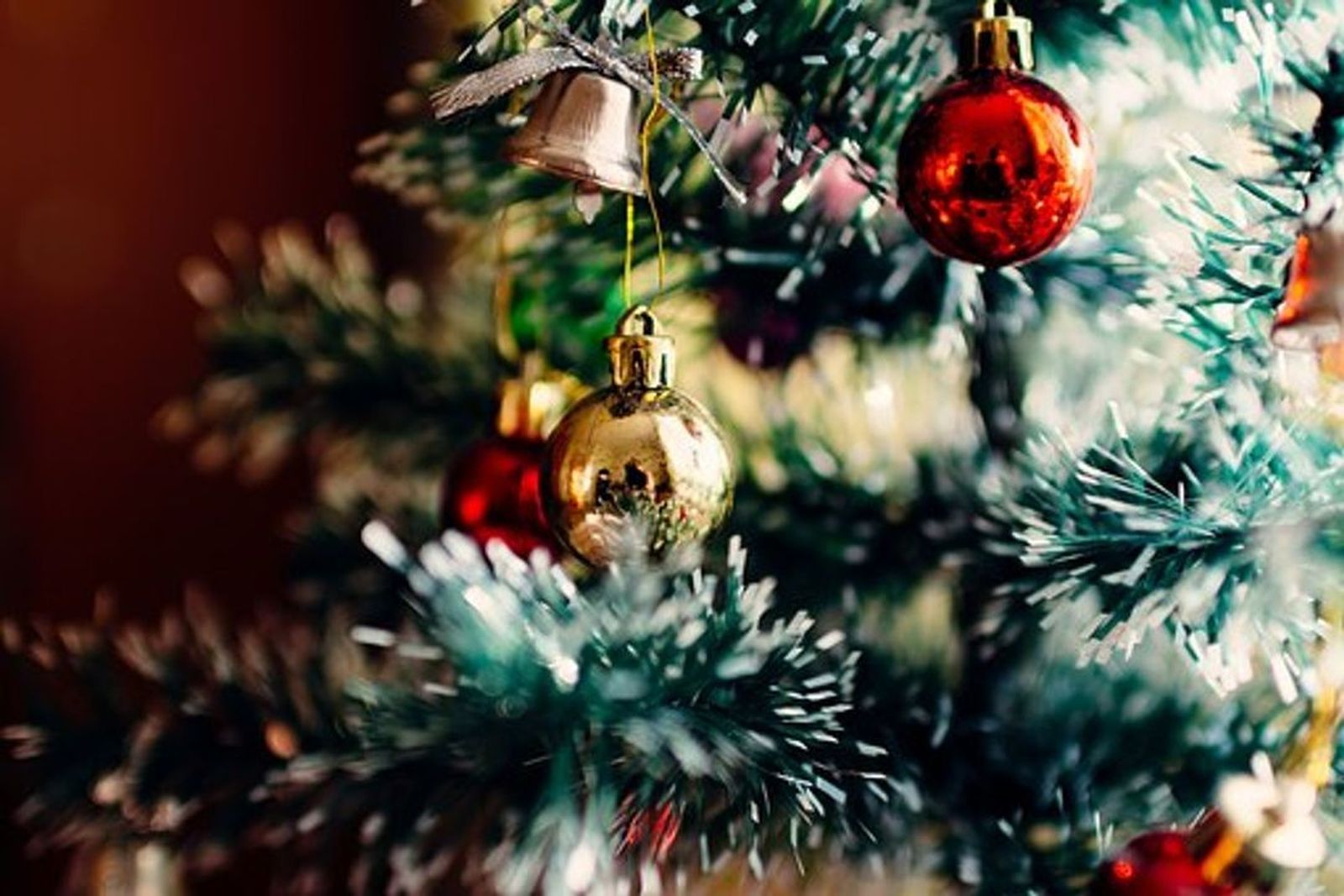 15.12.2018 | Propostes per a Nadal