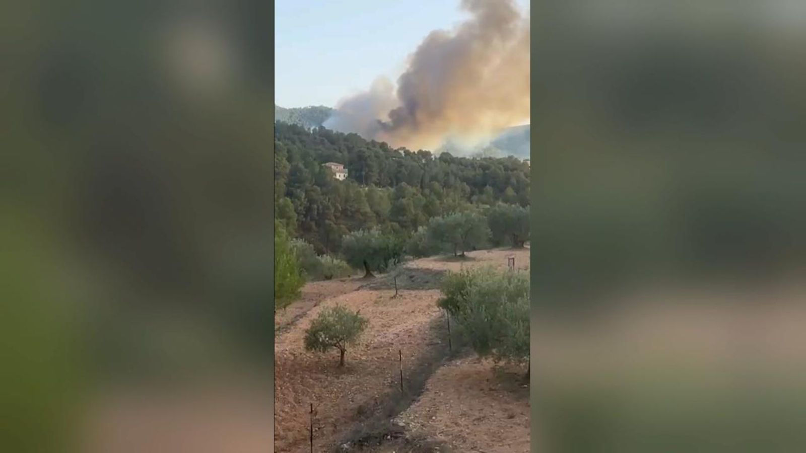 Incendi forestal a Biar
