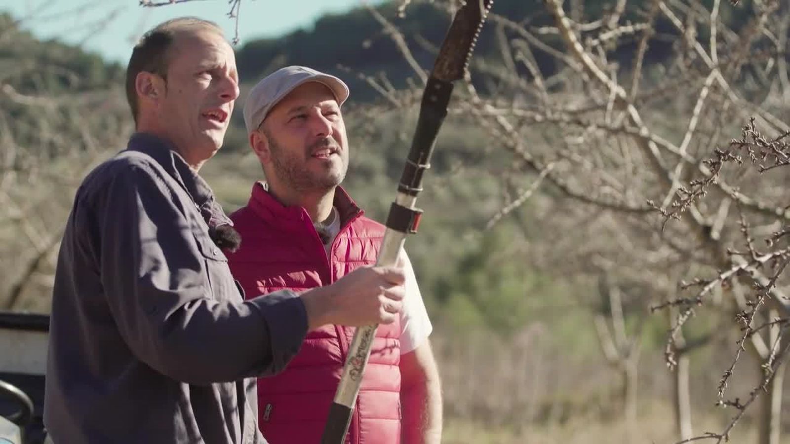 Xóvar: corder a l\'ametla