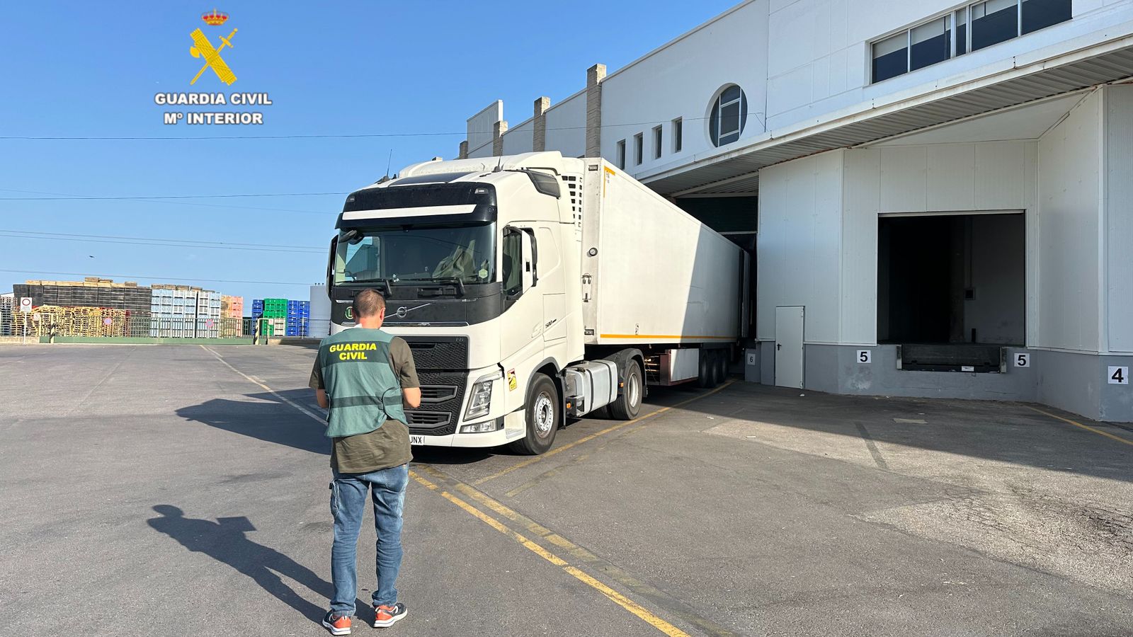 Els detinguts integraven una trama que desviava mercaderies de fruites i verdures falsificant la documentació