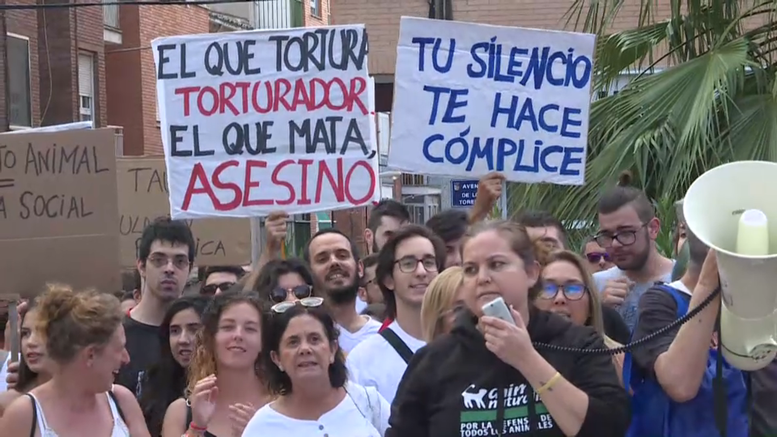 VÍDEO | Les corregudes de bous tornen a Villena amb tensió al carrer
