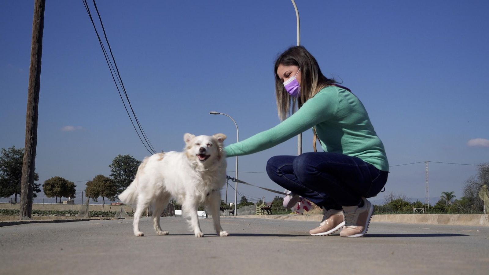 Més de 300.000 animals de companyia són abandonats a Espanya cada any