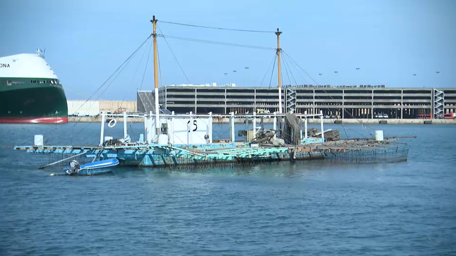 S’atura la producció de clòtxina per l’augment dels nivells d’una biotoxina en la mar