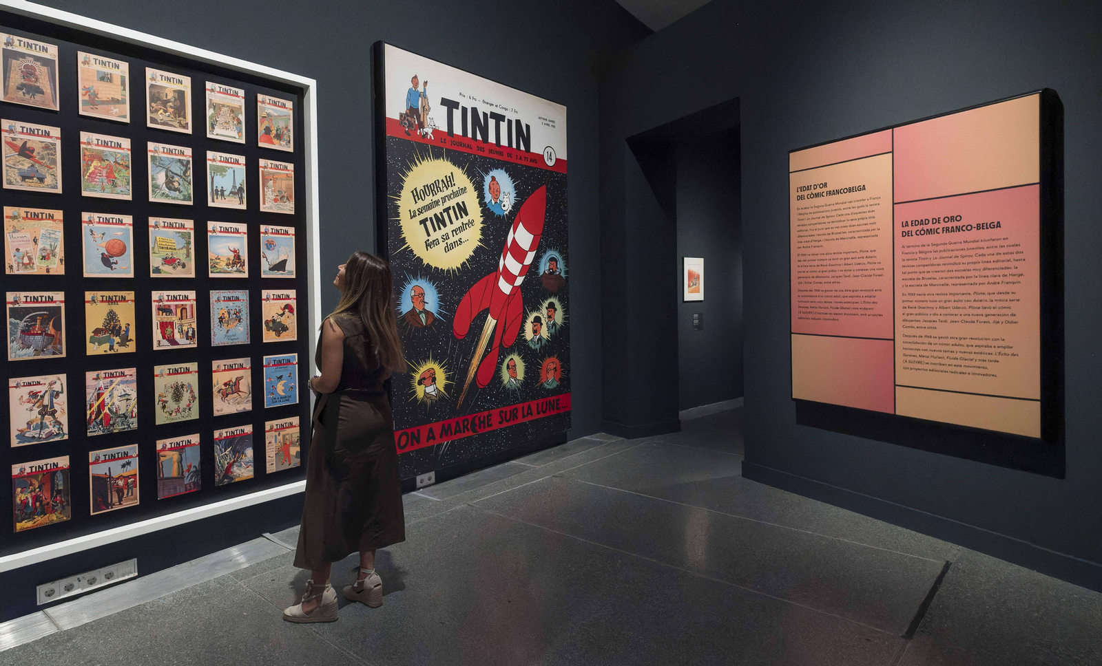 Exposició "Còmic. Somnis i història"