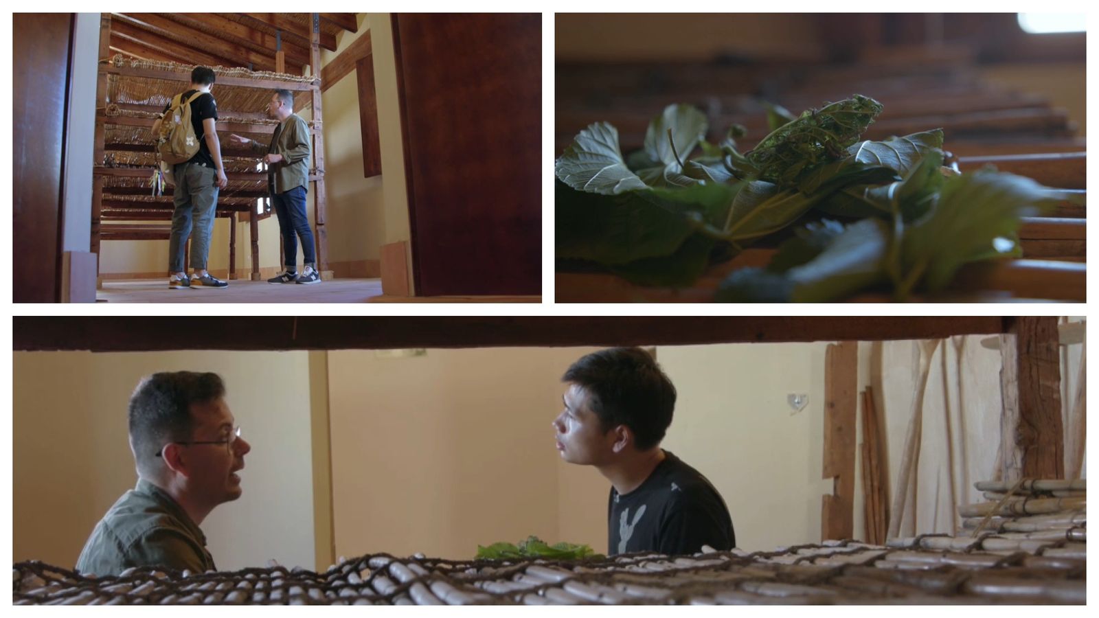 Els canyissos són unes estructures altes que es diuen andandes i que servien per a deixar-hi la fulla de la morera per als cucs