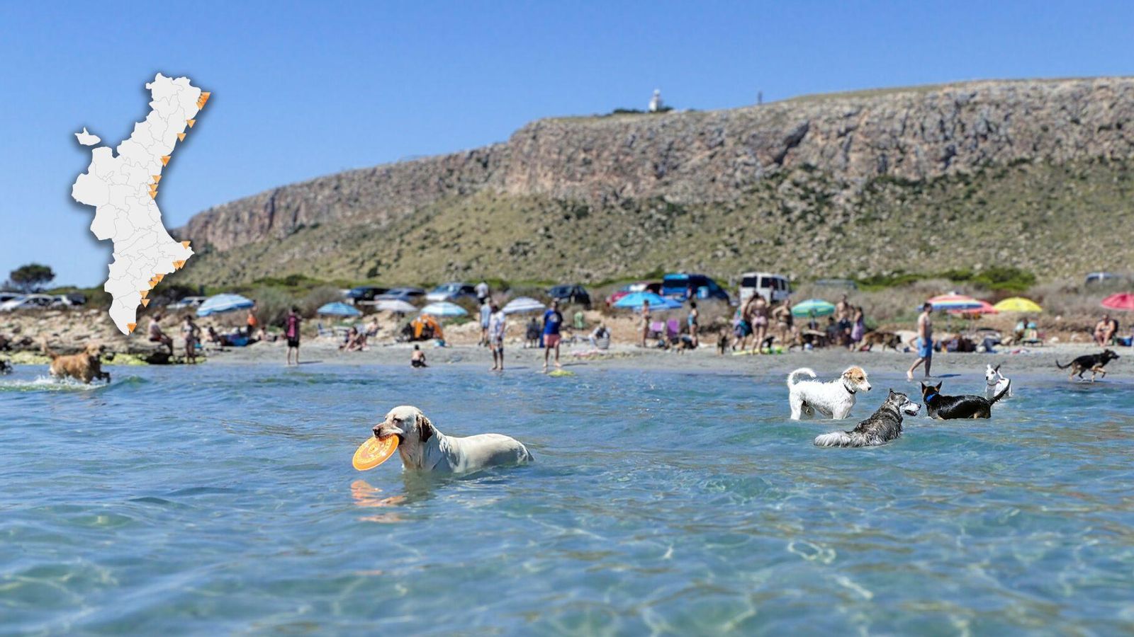 Una vintena de platges donen la benvinguda als gossos en el nostre litoral