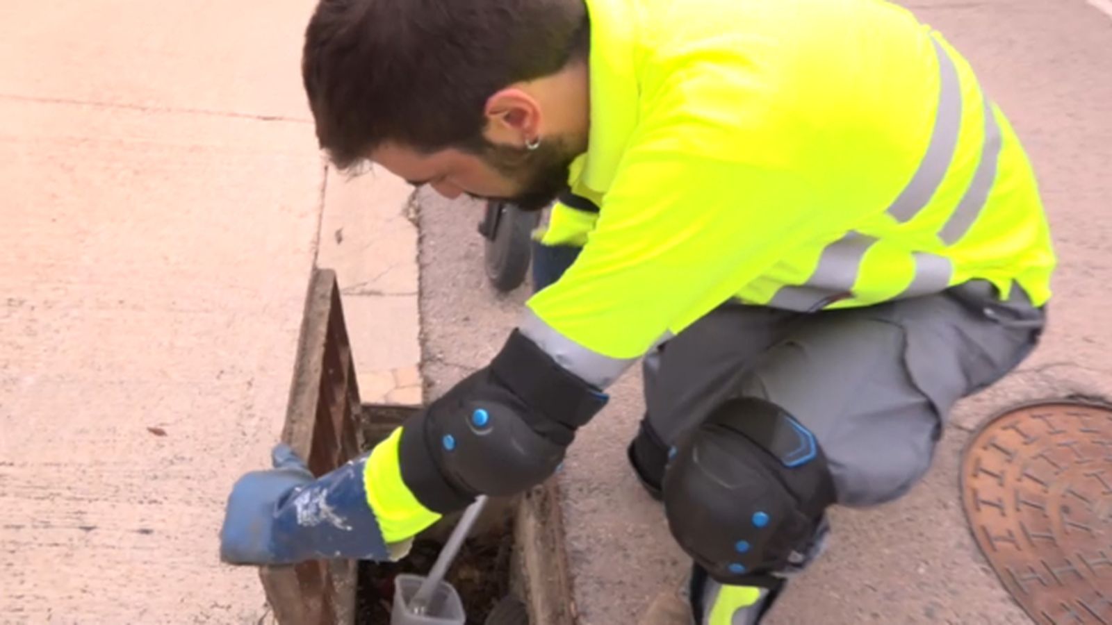 El supervisor comprova si hi ha larves en els embornals