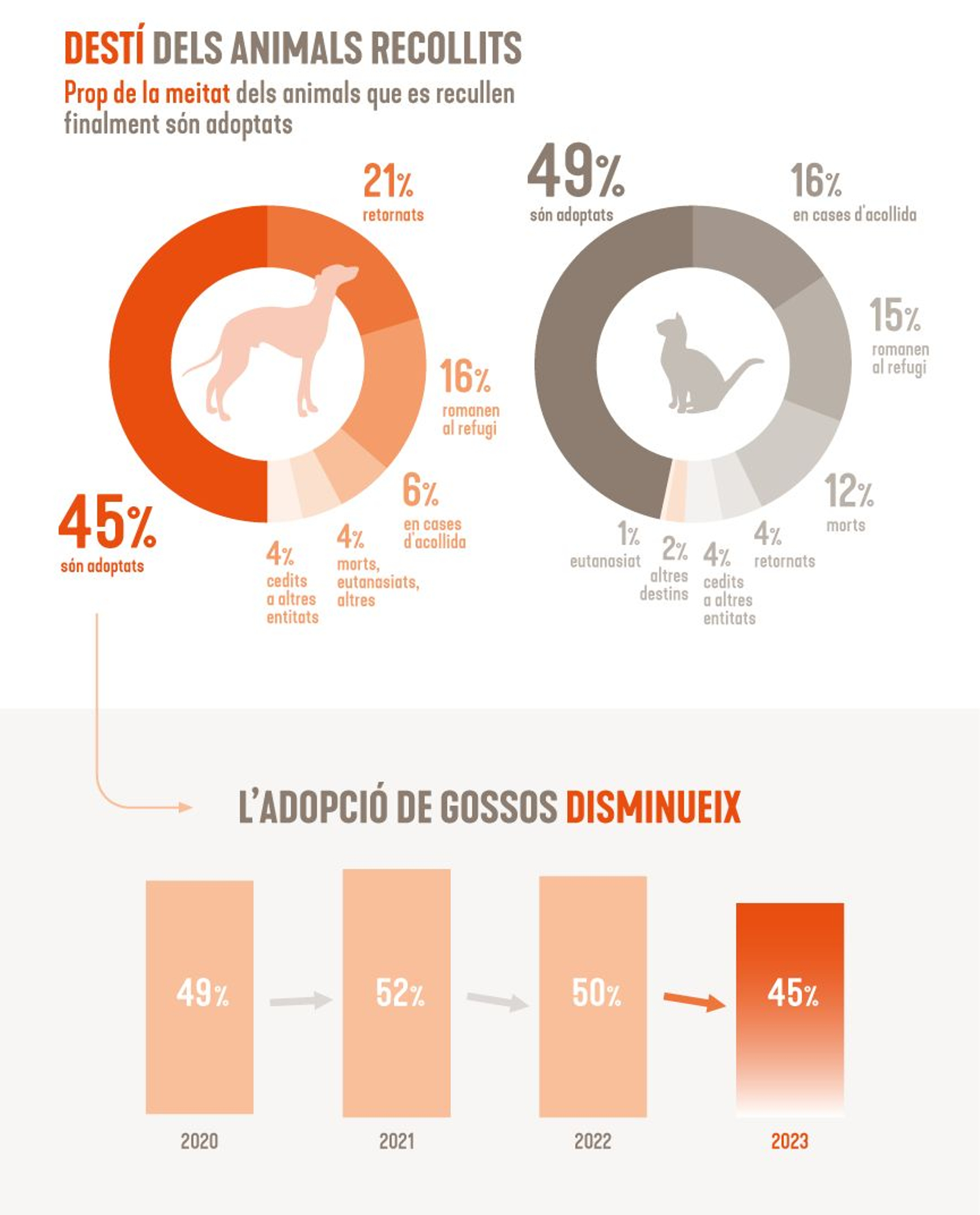 Prop de la meitat dels animals que es recullen finalment són adoptats