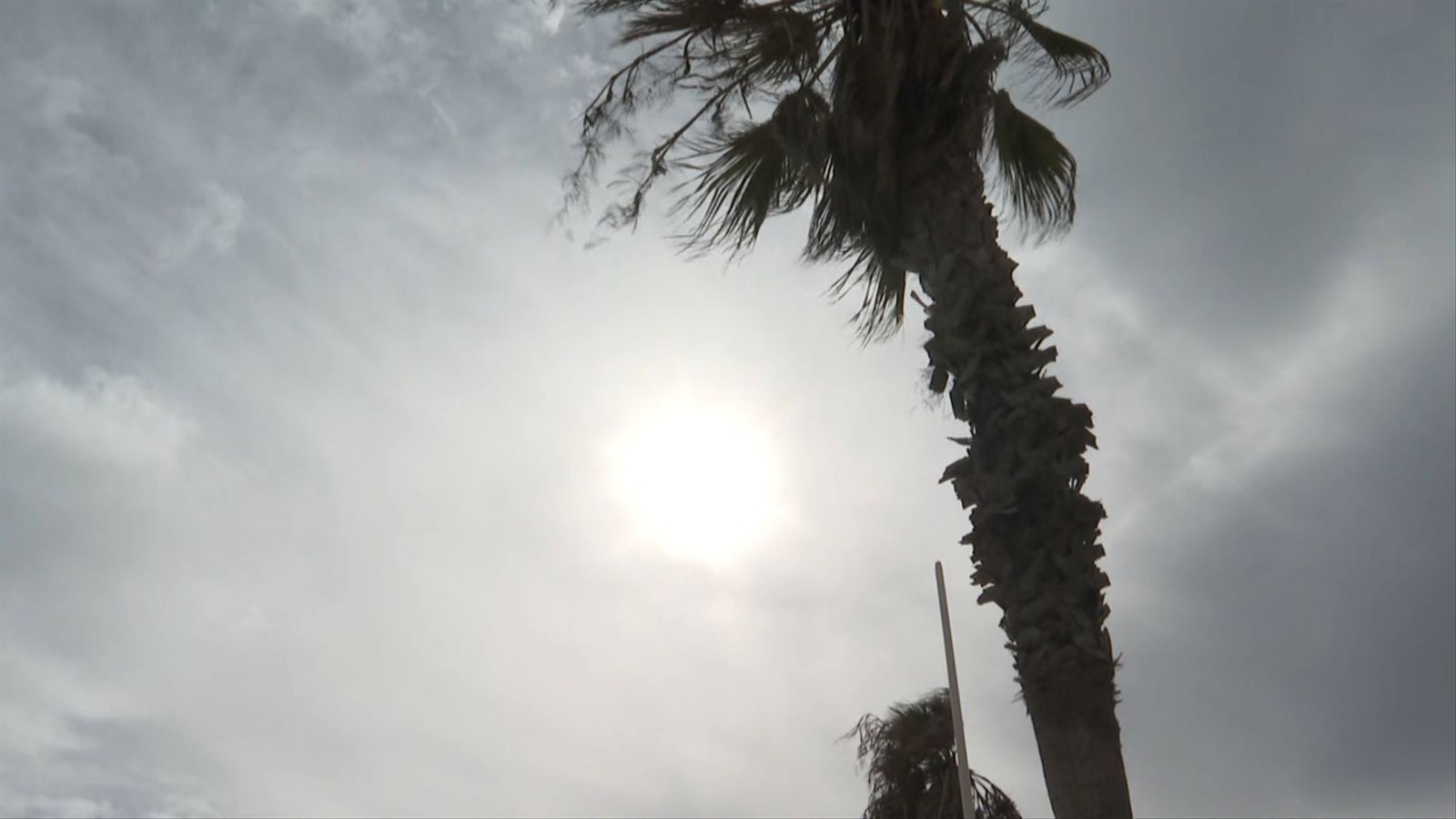 L'alerta taronja per vents s'estén pel nord de Castelló i és groga, amb fenòmens costaners, a Alacant i València.