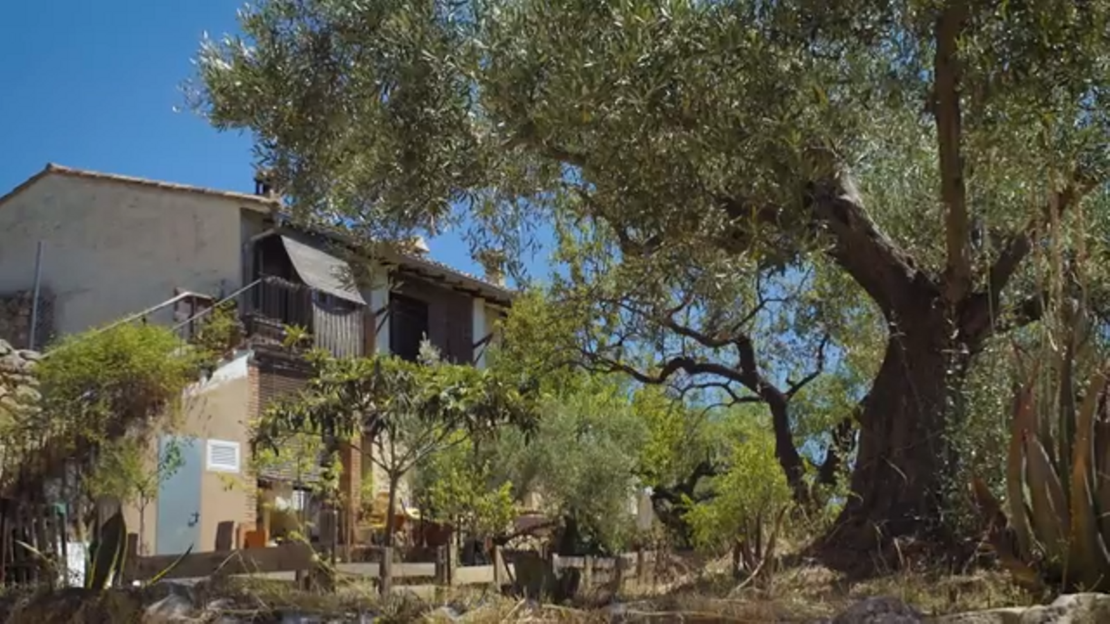 10.08.2023 | Terra Viva