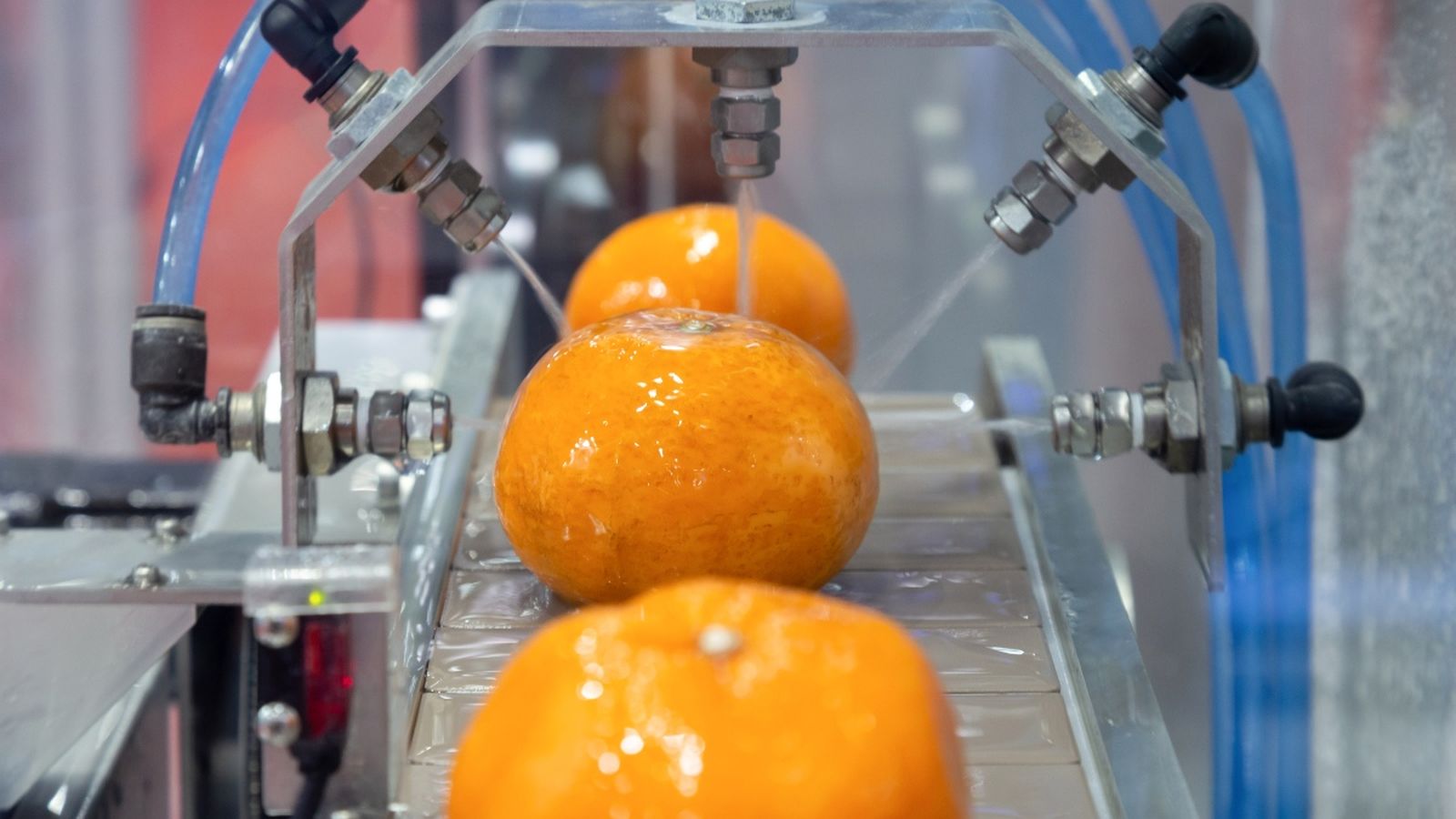 Les exportacions només pugen a la Comunitat Valenciana i Aragó