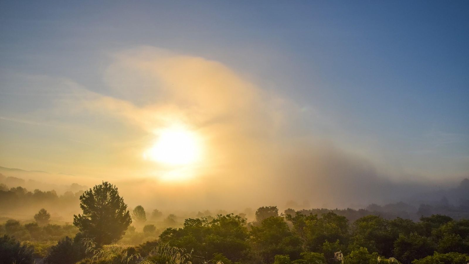 L'OLLERIA, LA VALL D'ALBAIDA
