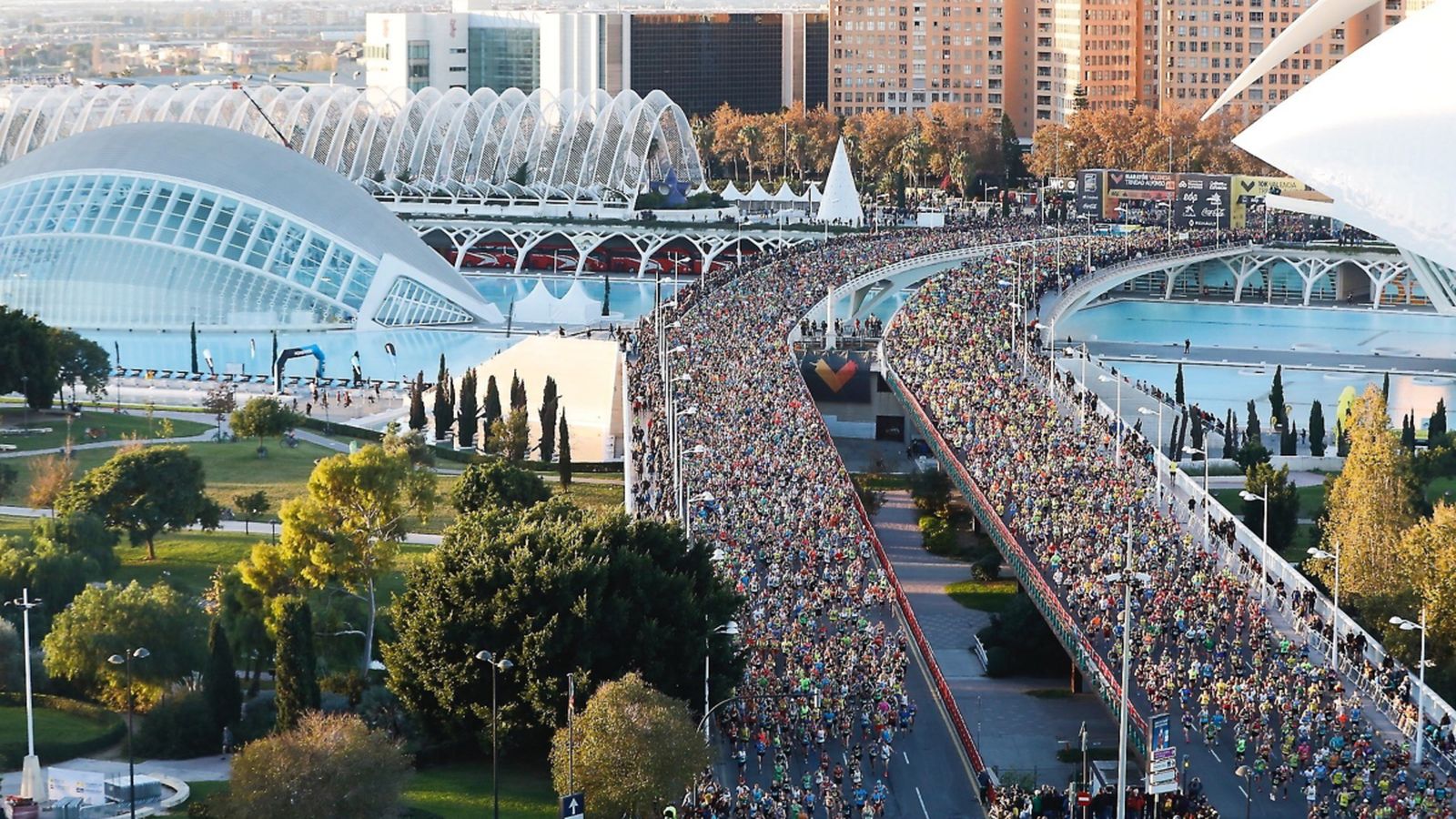 Els corredors, al seu pas per la Ciutat de les Arts i les Ciències