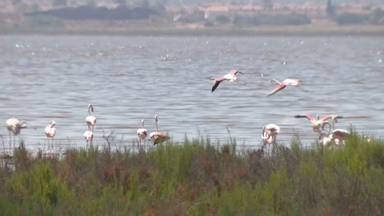 Les Salines de Santa Pola