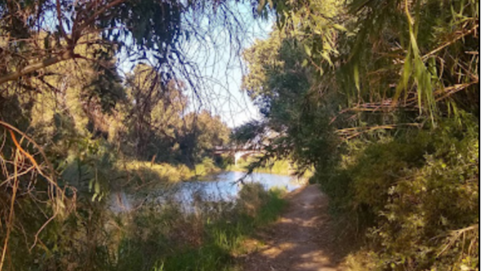 Una imatge del Magro al seu pas per l'Alcúdia