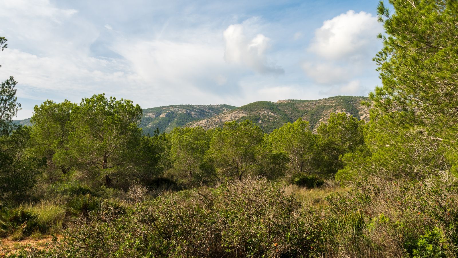 Imatge d'arxiu del Parc natural de la Serra d'Irta