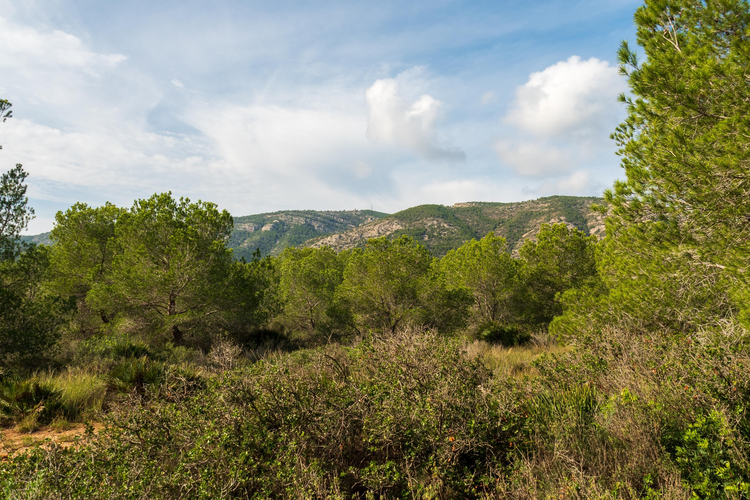 Imatge d'arxiu del Parc Natural de la Serra d'Irta Imatge d'arxiu del Parc natural de la Serra d'Irta