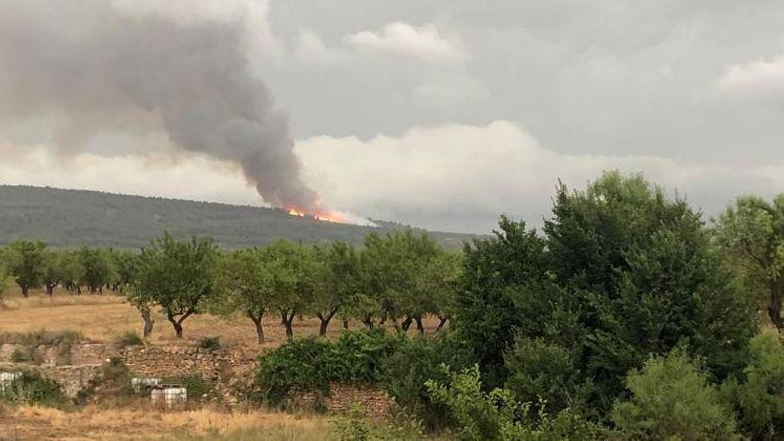 Imatge de l'incendi d'Aras de los Olmos