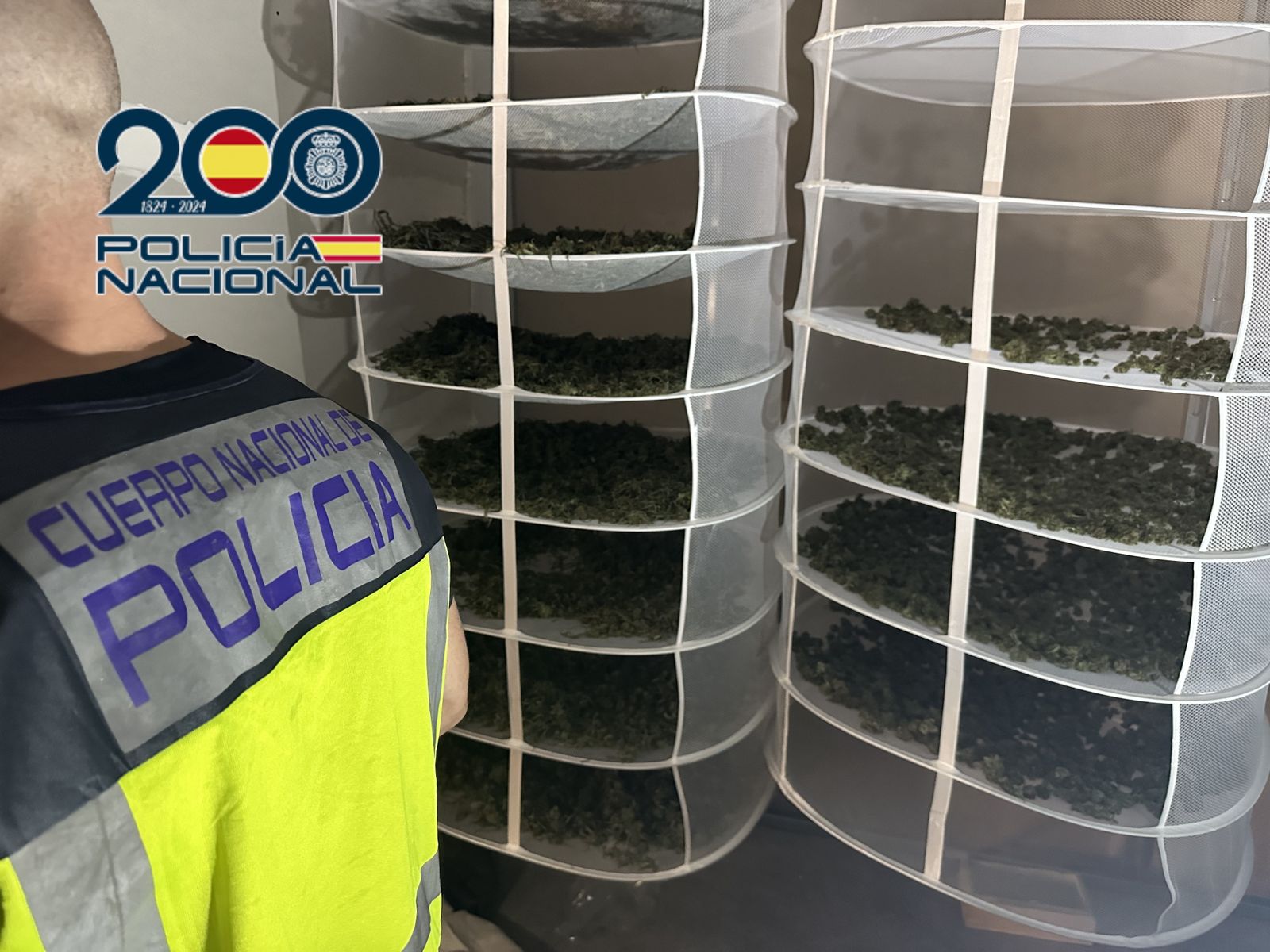 La Polici Nacional desarticula a Alacant una organització que cultivava marihuana en naus i xalets