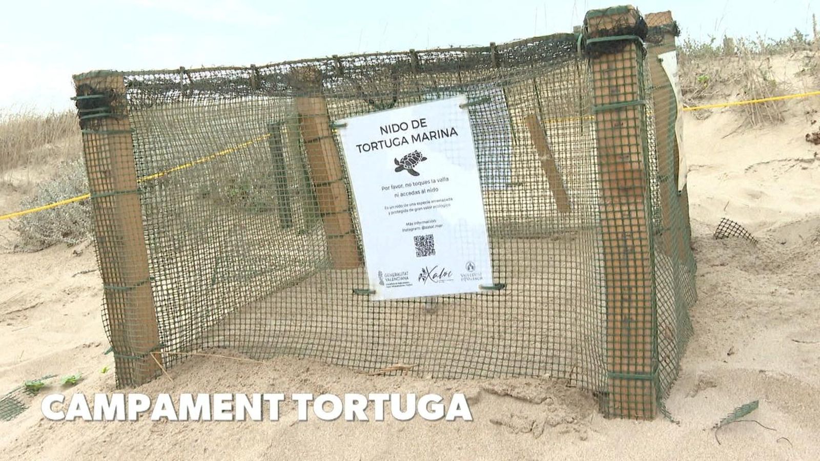 Campament tortuga