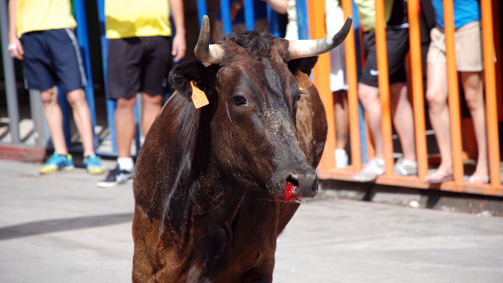 07.09.2022 | Bous al carrer