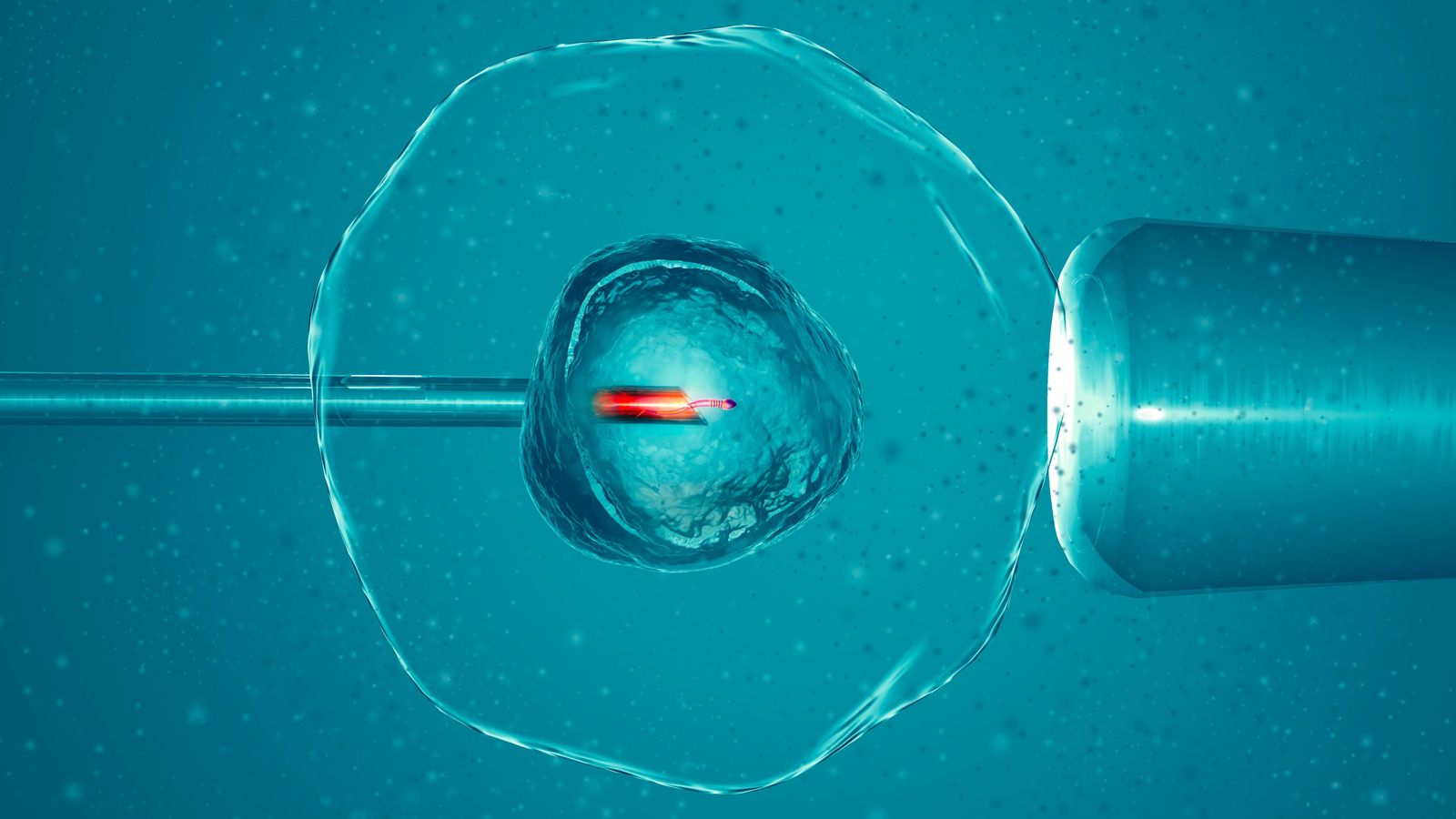 Reproducció assistida