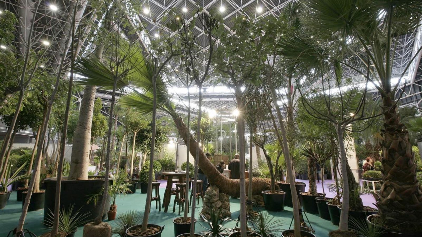 Iberflora 2018 tanca les portes amb un increment de visitants del 15%