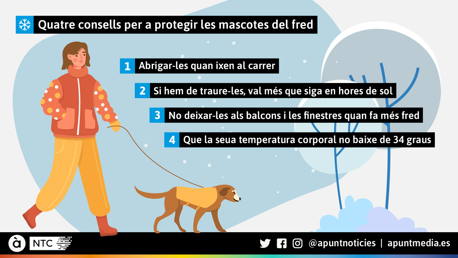 Consells per a protegir les mascotes del fred