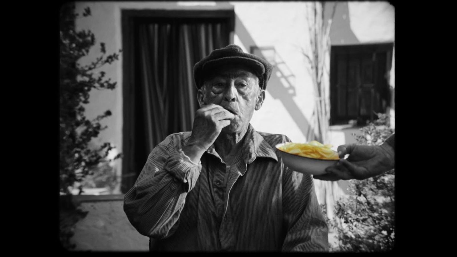 VICENTE VIDAL | “De cuando las papas sabían a papas”