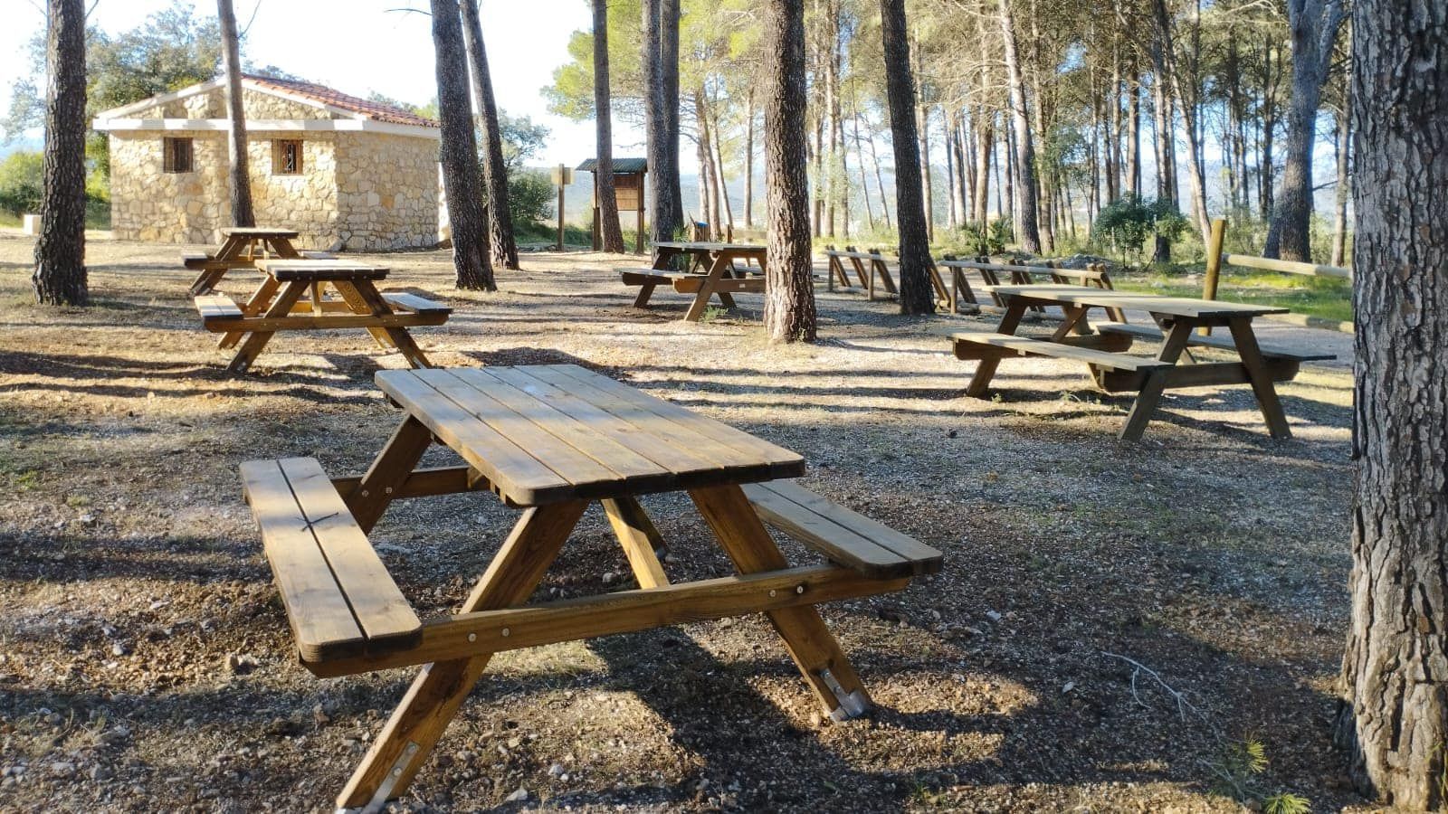 Un dels paratges naturals del terme de la Salzadella, terreny que rastregen pam a pam per tal de localitzar l'animal