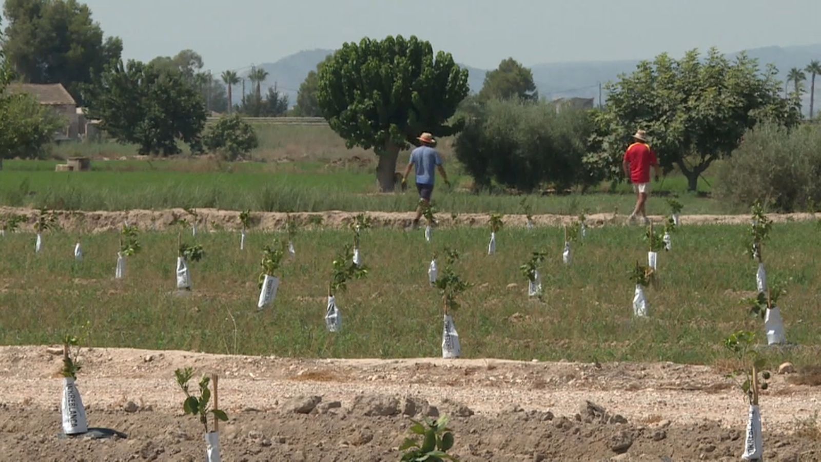 Aquest dimarts s'ha presentat a les Corts el diagnòstic de l'aigua de la Comunitat Valenciana