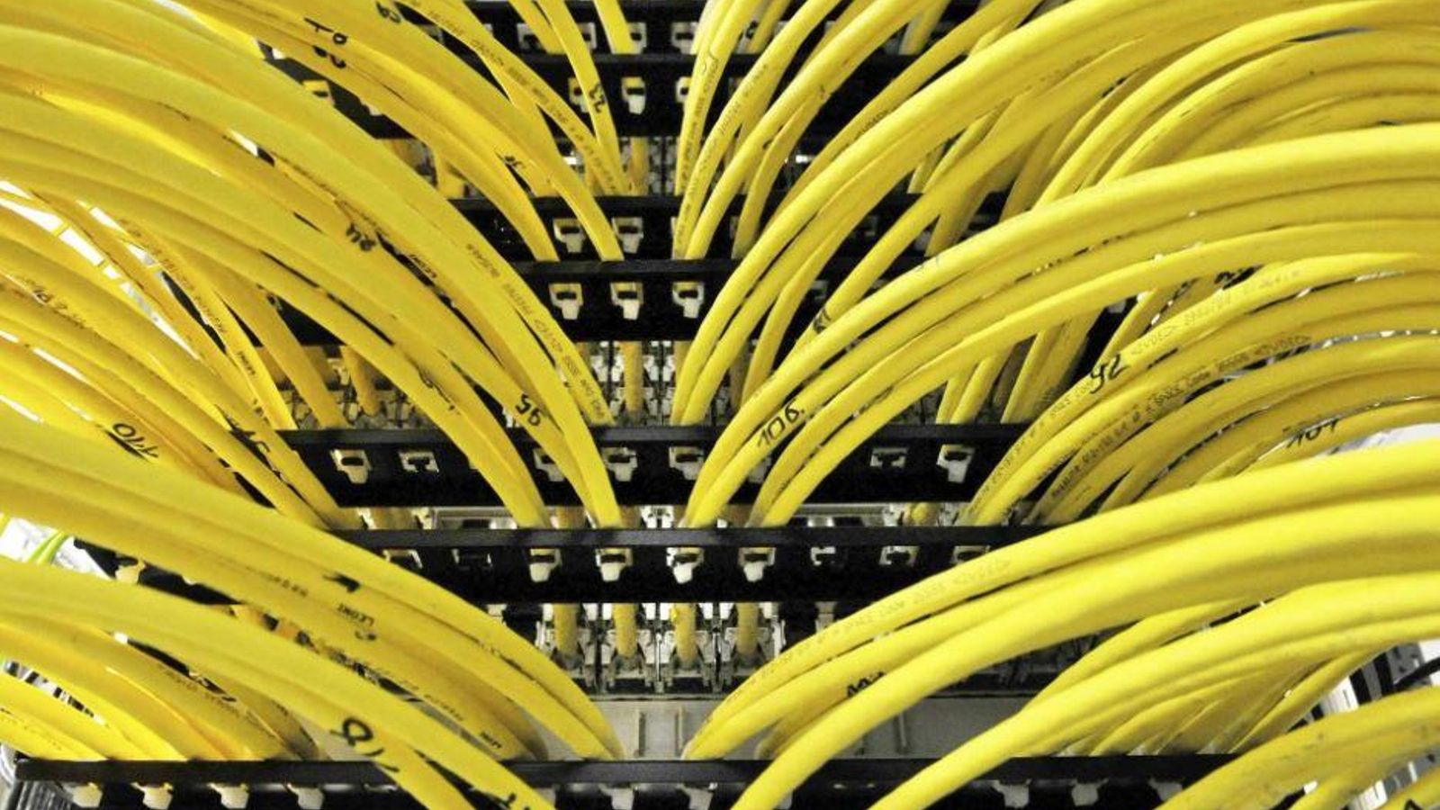 Una imatge d'arxiu mostra cables grocs de computadora dins d'una sala de servidors