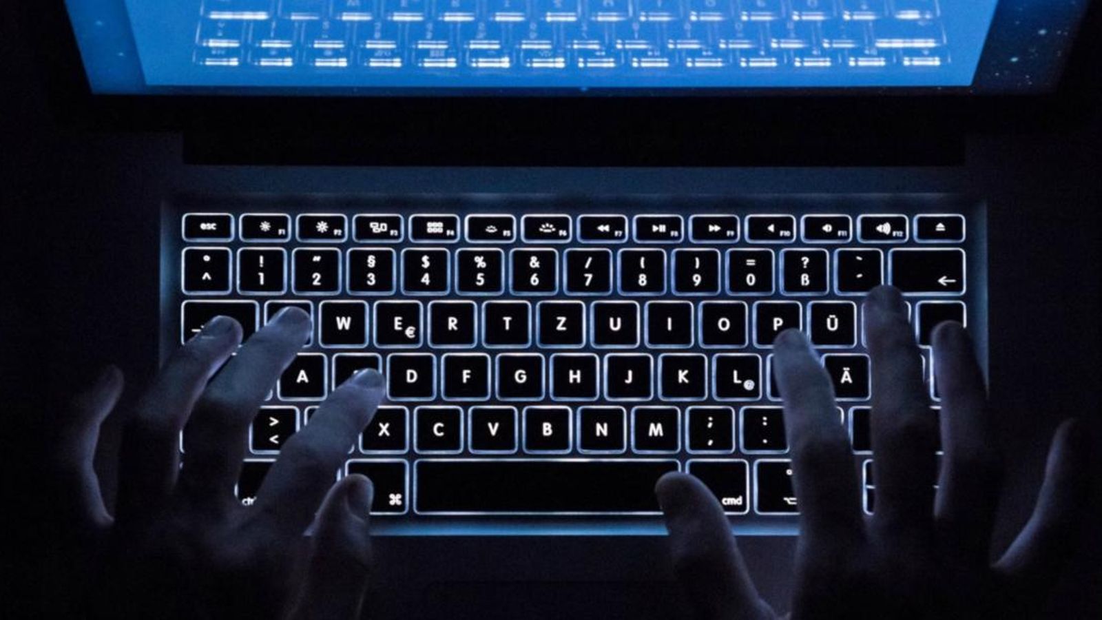 La plataforma comptava amb 63.000 ofertes de venda actives, així com més d'un milió de comptes de clients
