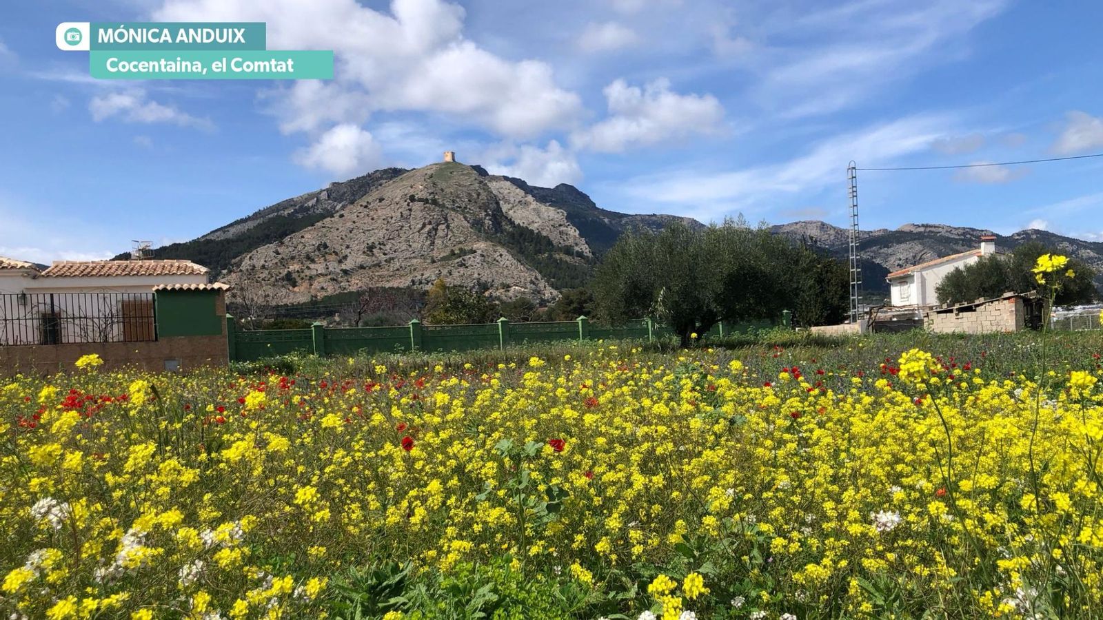 Oratge variable i primaveral