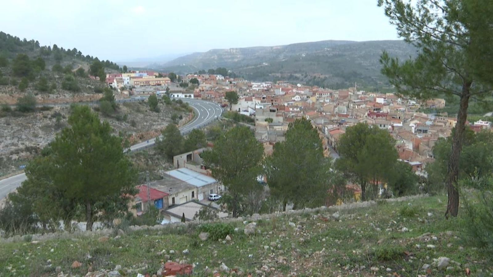 Sumacàrcer, en una imatge d’arxiu