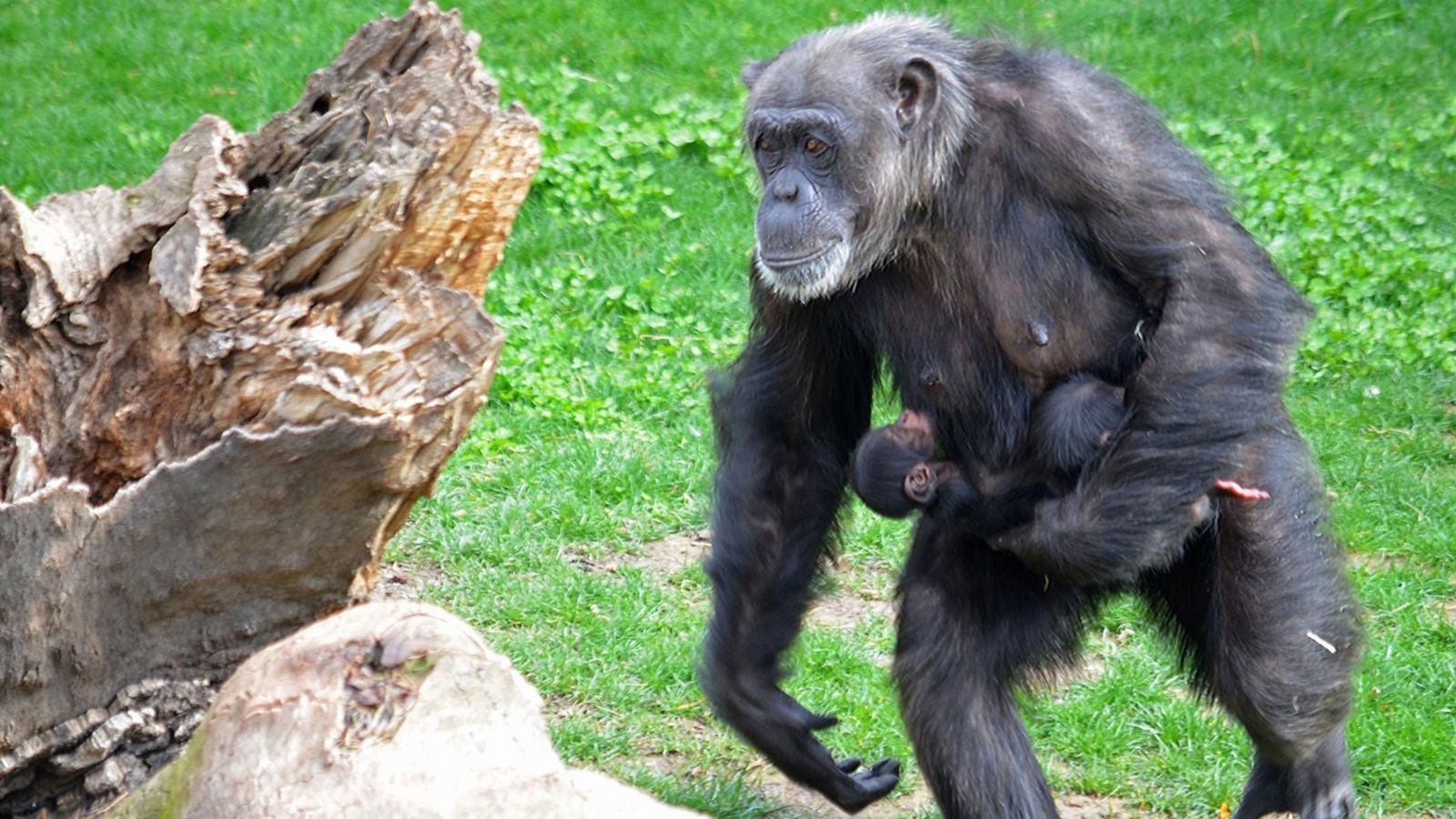 Imatge: Europa Press