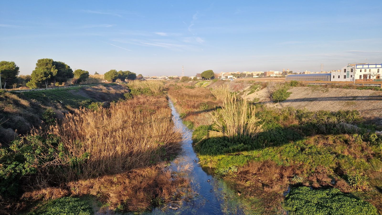 El barranc de Carraixet d'Alboraia (arxiu)