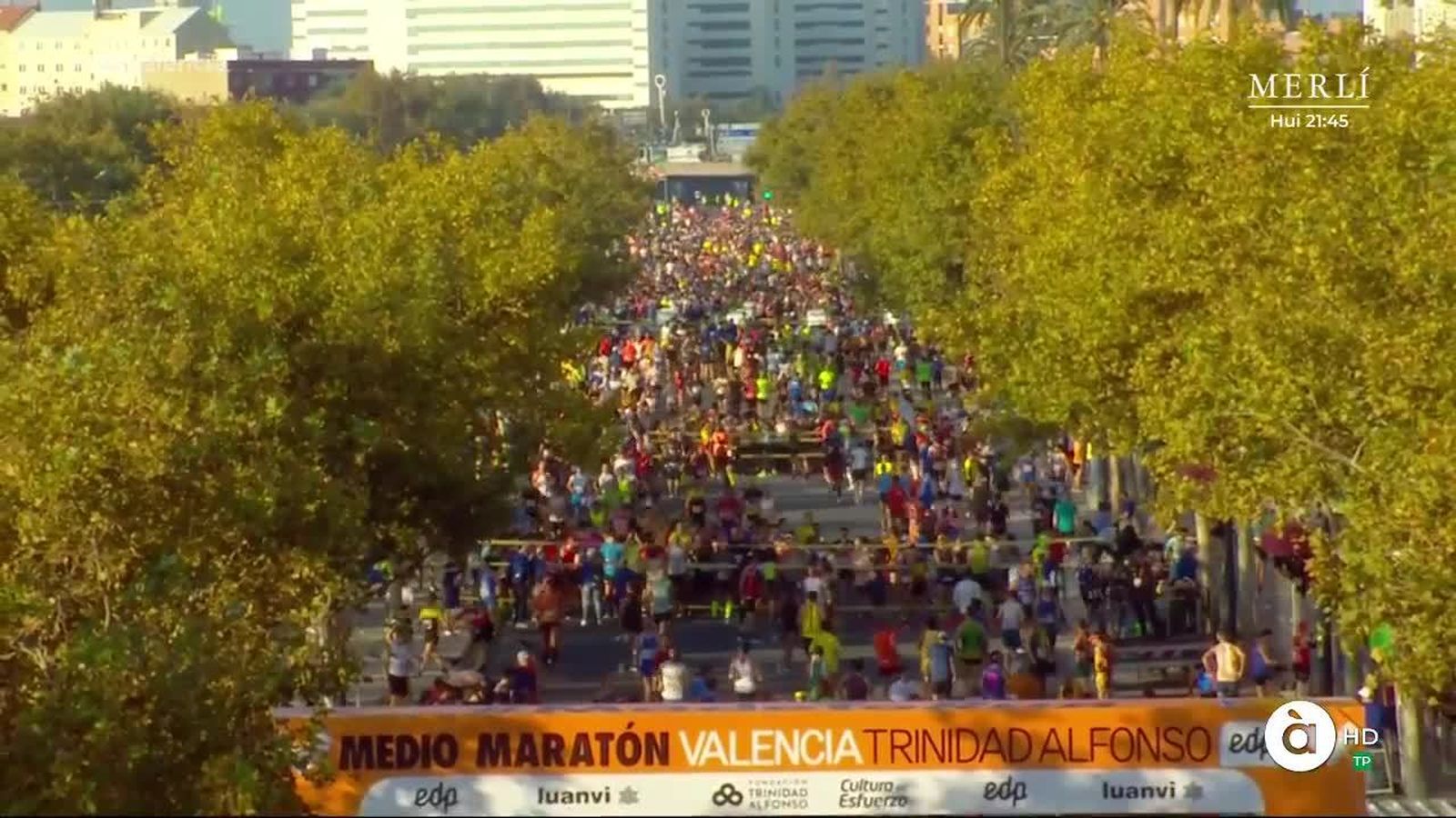 27.10.2019 | Mitja marató València