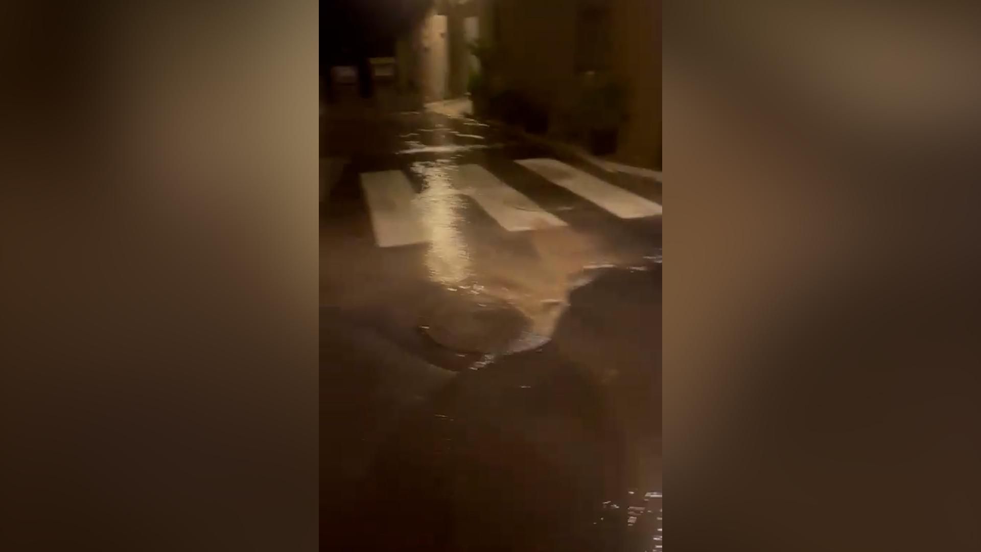 Rebentada al Palmar