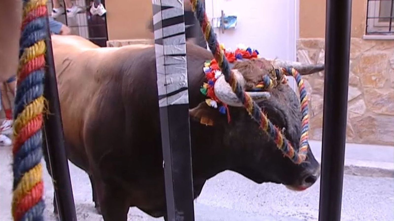 Un bou, amb la corda nugada, als carrers de Xiva, en una imatge d'arxiu