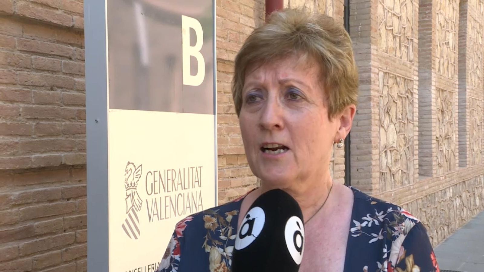 L'exalcaldessa del Puig Luisa Salvador atén À Punt (arxiu)