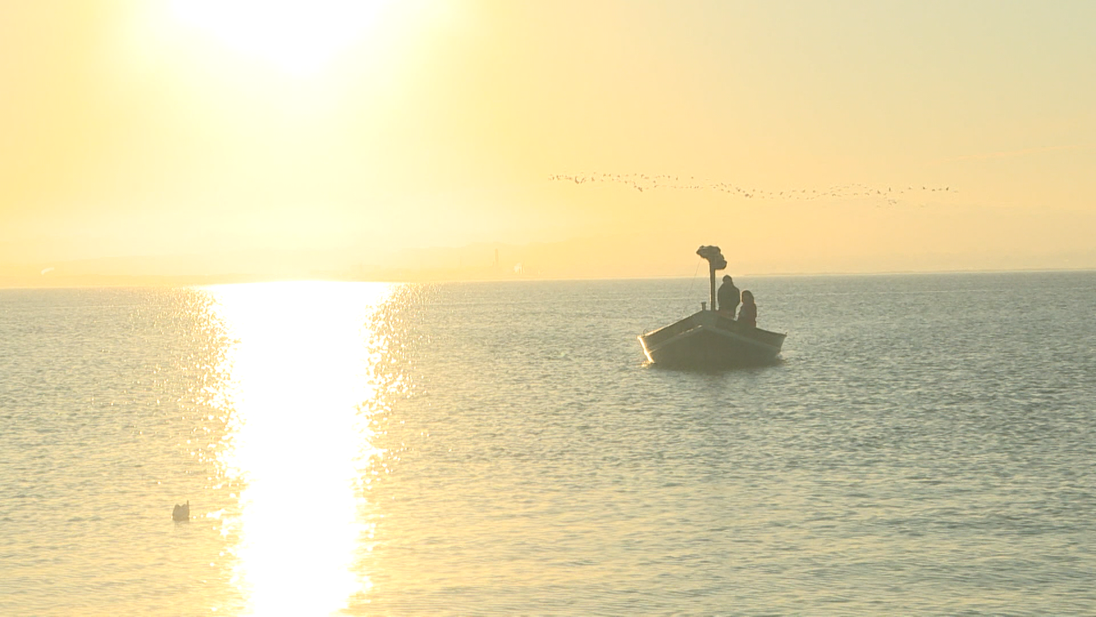 albufera