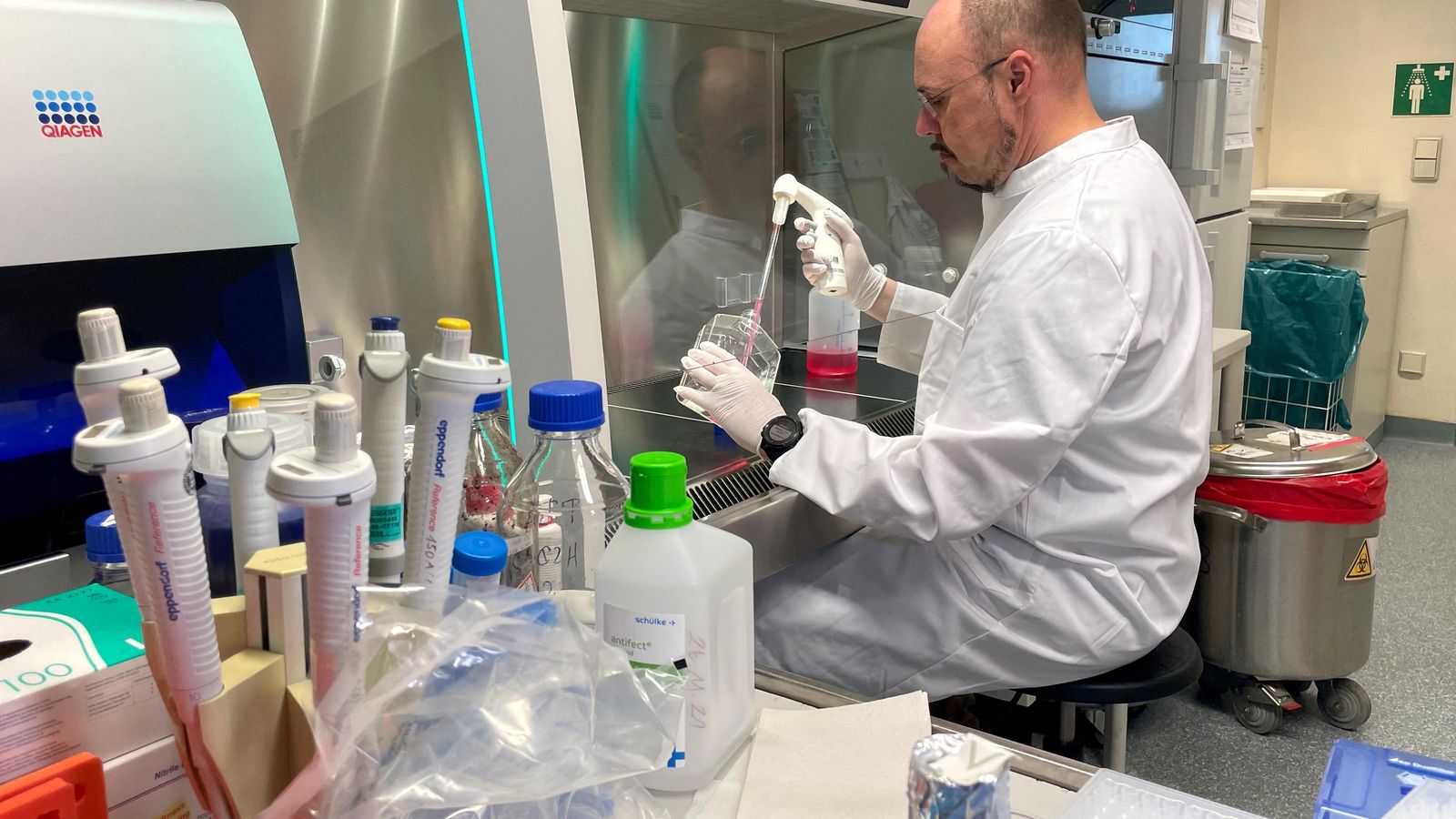 Seqüenciació de mostres de la pigota dels micos en un laboratori alemany