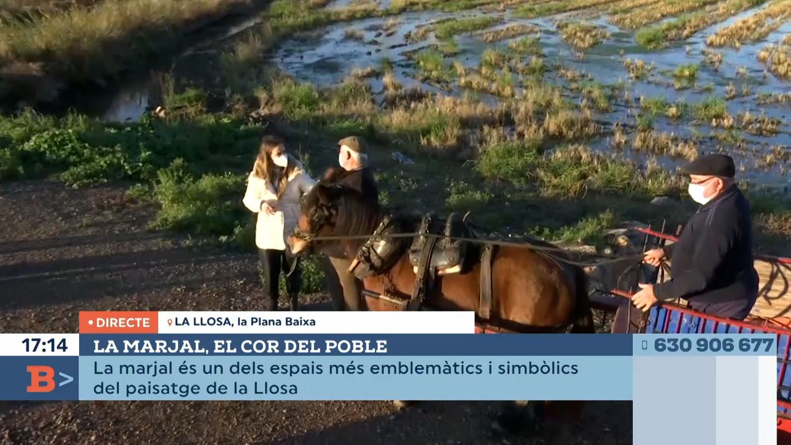25.01.2022 | La marjal, el cor de la Llosa
