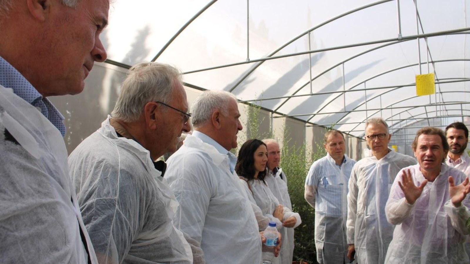 Els tècnics expliquen els treballs contra la xilel·la a les illes a membres de la delegació valenciana del sector agrari