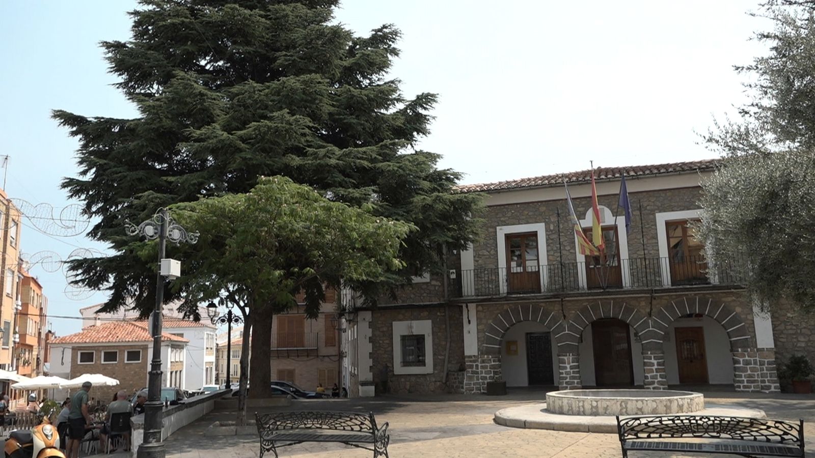 El cedre, a la plaça de l'Ajuntament de Bejís