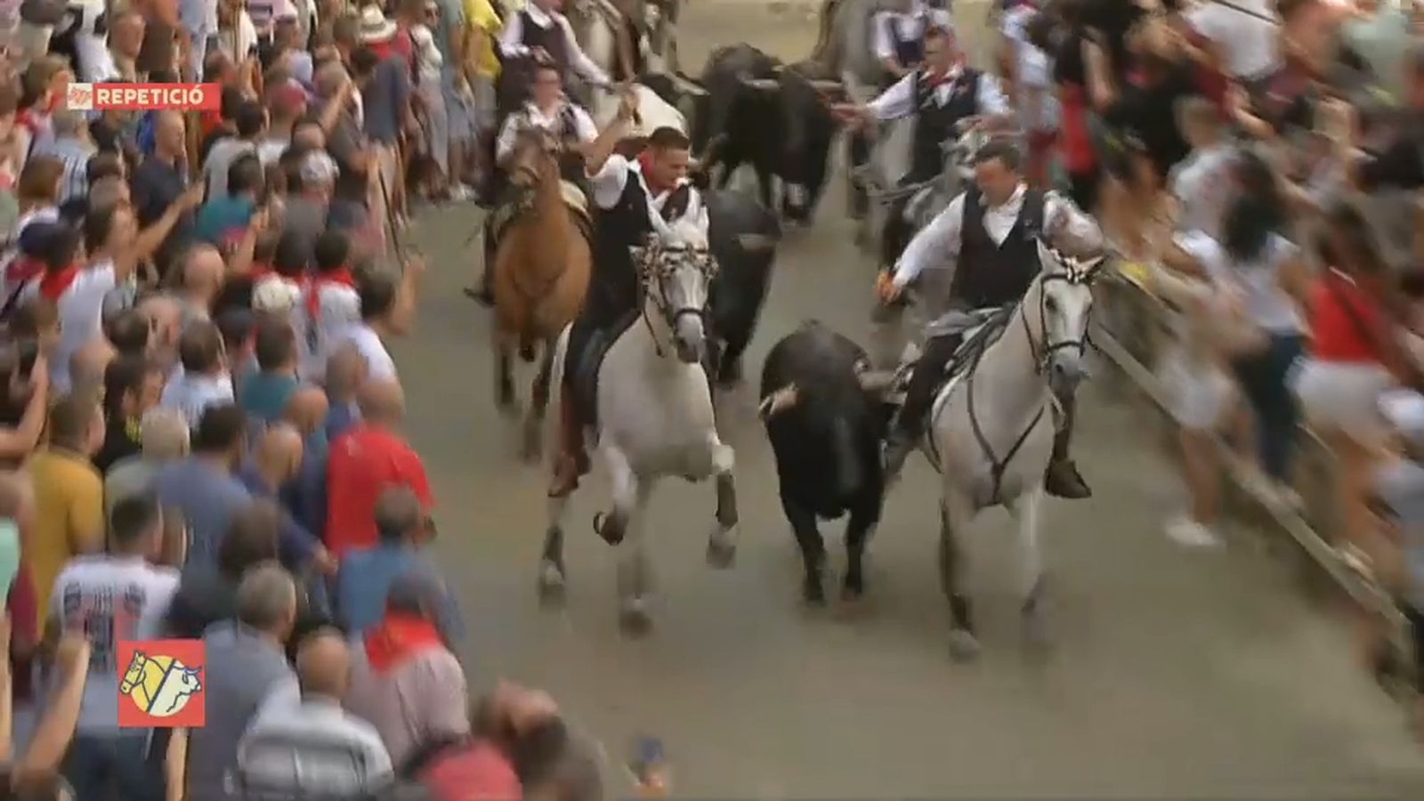 10.09.2023 | Entrada de Bous i Cavalls de Sogorb